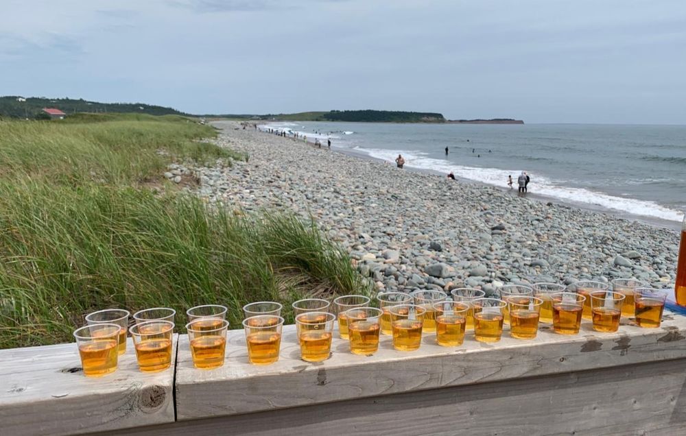 A lineup of a red drink in small glasses with a beach in the background.