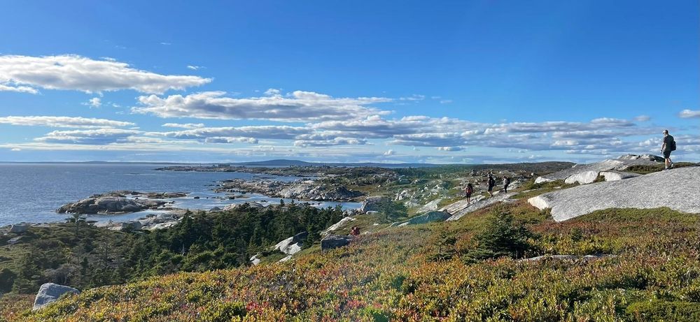 A coastal view of a rocky shoreline. The bushes are green with some red leaves showing through.