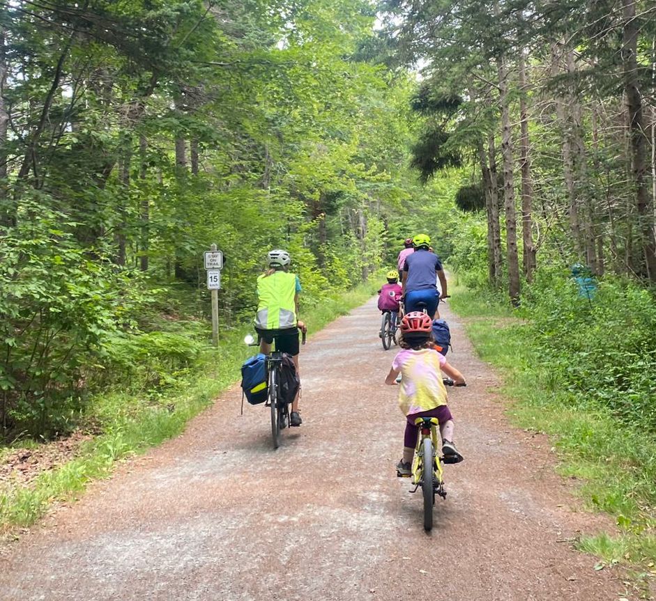 Four cyclists on a trail in the forest. There are two children and two adults. 