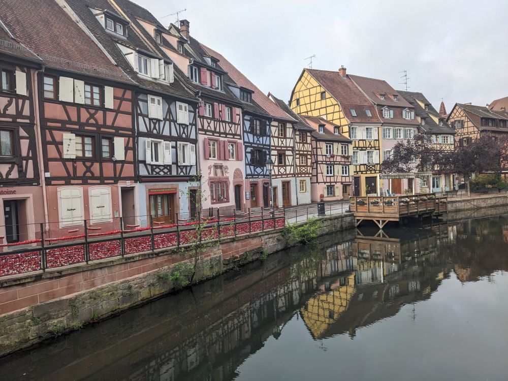 A row of colourful half-timbered houses along a canal in Colmar, France. A reflection of the houses can be seen in the water of the canal. 