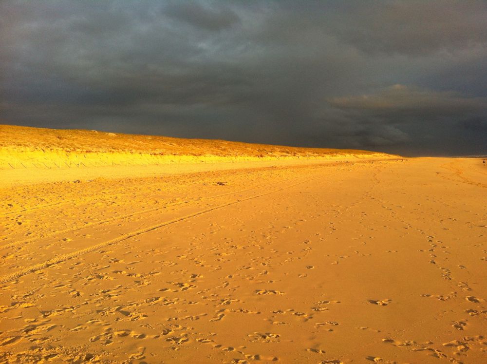 Sandstrand im goldenen Licht der Sonne vor bedrohlichen Gewitterhimmel in dunklen Grau.