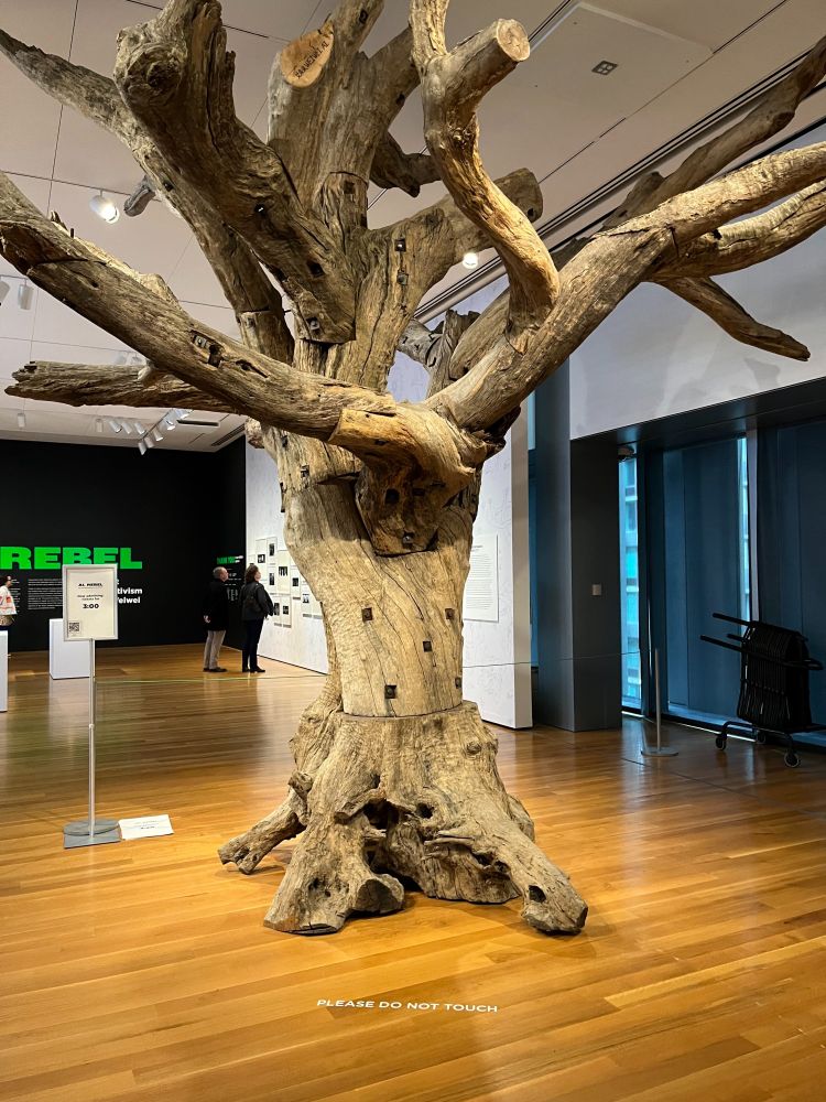 Logs and branches from several different trees, assembled using bolts to form a tree-shaped sculpture, seen here in a museum gallery. 