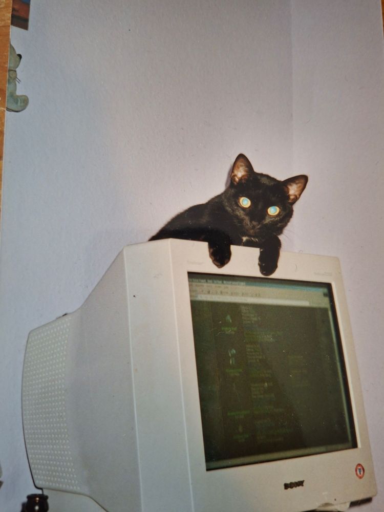 Eine schwarze Katze liegt auf einem alten Monitor, der vor 20 Jahren noch sehr tief war.