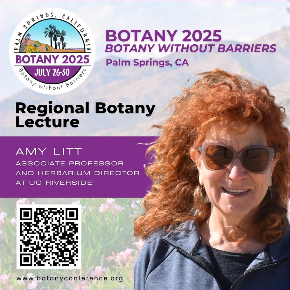 A promotional graphic for "Botany 2025: Botany Without Barriers," taking place in Palm Springs, CA, from July 26-30. The image features a circular event logo with palm trees, mountains, and desert flowers in the top left corner. Bold purple text announces a "Regional Botany Lecture." Below, a purple banner introduces "Amy Litt, Associate Professor and Herbarium Director at UC Riverside." A QR code in the bottom left corner directs viewers to www.botanyconference.org. The background showcases a scenic desert landscape with wildflowers. On the right side, a smiling woman with curly red hair, sunglasses, and a black zip-up jacket stands outdoors in natural light.