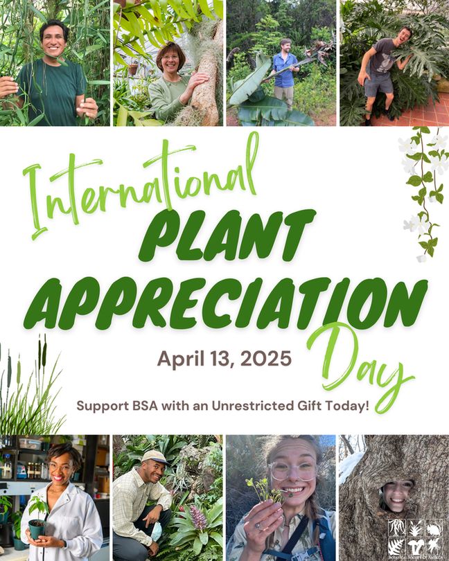 This image shows 8 BSA members near or holding plants and smiling. Text: “International Plant Appreciation Day, April 13, 2025. Support BSA with an Unrestricted Gift Today!” The image also includes the BSA logo.
