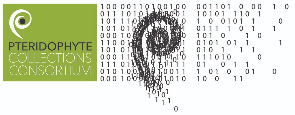 The Pteridophyte Collections Consortium logo. On the left side, "Pteridophyte Collections Consortium" is on a green background. On the right side, there are two columns of 0's and 1's, with an image of a fern fiddlehead composed of 0's and 1's on top.