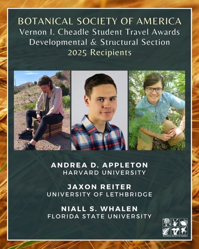 Flyer titled Botanical Society of America – Vernon I. Cheadle Student Travel Awards, Developmental & Structural Section, 2025 Recipients. Background features golden grasses. Three student photos are shown: Andrea D. Appleton (Harvard University), Jaxon Reiter (University of Lethbridge), and Niall S. Whalen (Florida State University). BSA logos appear at the bottom.