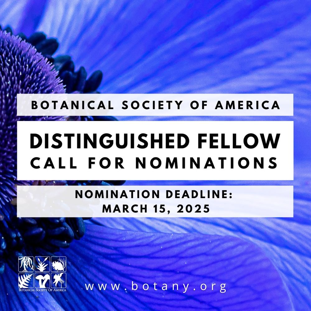 A digital graphic for the Botanical Society of America (BSA) features a close-up image of a vibrant blue flower in the background. White text boxes overlay the image with bold black text announcing: "Distinguished Fellow Call for Nominations." Additional text states the nomination deadline: March 15, 2025. The BSA logo appears in the bottom left corner, and the website www.botany.org is listed at the bottom.

