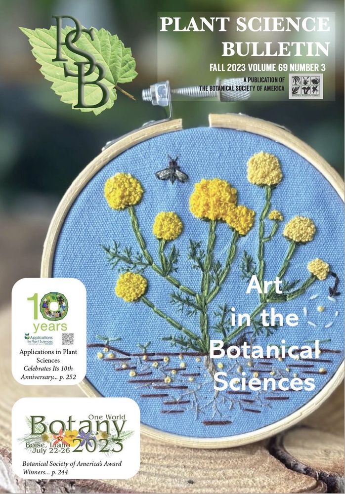 An embroidery hoop by Clarissa Rodriguez showing stinknet (Oncosiphon pilulifer) accumulating seeds in the seed bank, and a harvester ant (Pogonomyrmex rugosus) crawling along the soil surface to depict a collaborative study investigating the role of harvester ants in dispersing invasive plants.