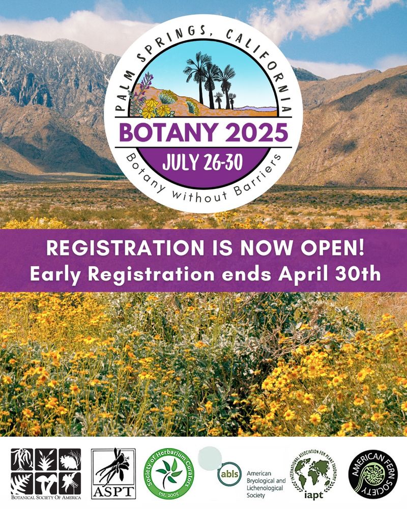 A promotional graphic for Botany 2025, taking place in Palm Springs, California, from July 26-30. The top features a circular logo with an illustration of a desert landscape, palm trees, and flowers. Below the logo, bold purple and white text announces "REGISTRATION IS NOW OPEN!" with a reminder that "Early Registration ends April 30th." The background showcases a stunning desert scene with bright yellow wildflowers and rugged mountains under a partly cloudy sky. Logos of affiliated botanical organizations are displayed at the bottom.