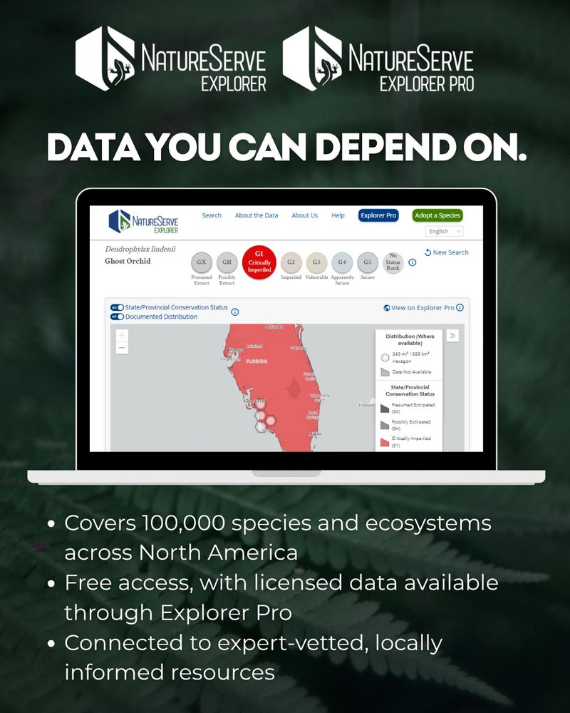 thisimage shows a laptop with a homescreen of naturserve explorer on it. Text: Data you can depend on. -Covers 100,000 species and ecosystems across North America. - Fre access, with licensed data available through Explorer Pro. -Connected to expert-vetted, locally informed resources.