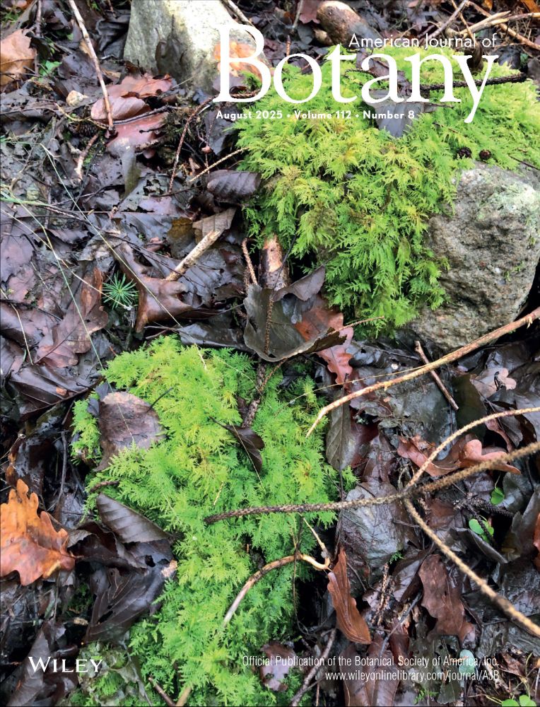 The bright green, feathery moss Thuidium sp. is widely distributed across the globe—from tropical cloud forests to temperate forests. In nitrogen-poor ecosystems, Thuidium sp. and other mosses are heavily colonised by nitrogen-fixing cyanobacteria, contributing significantly to total ecosystem nitrogen input.  [Photo credit: Kathrin Rousk]