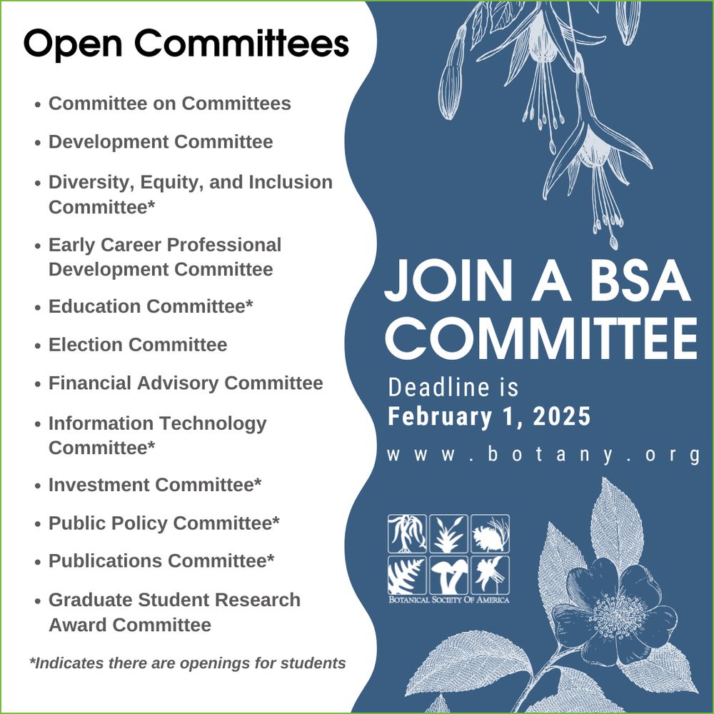 A promotional graphic for the Botanical Society of America (BSA). The left side features a list of open committees: Committee on Committees, Development Committee, Diversity, Equity, and Inclusion Committee*, Early Career Professional Development Committee, Education Committee*, Election Committee, Financial Advisory Committee, Information Technology Committee*, Investment Committee*, Public Policy Committee*, Publications Committee*, and Graduate Student Research Award Committee (* indicates there are openings for students). The right side has a blue background with the text "JOIN A BSA COMMITTEE" and "Deadline is February 1, 2025." The BSA website (www.botany.org) and a floral illustration are also included. Only current BSA members can join committees, but non-members can join the Society to get involved.