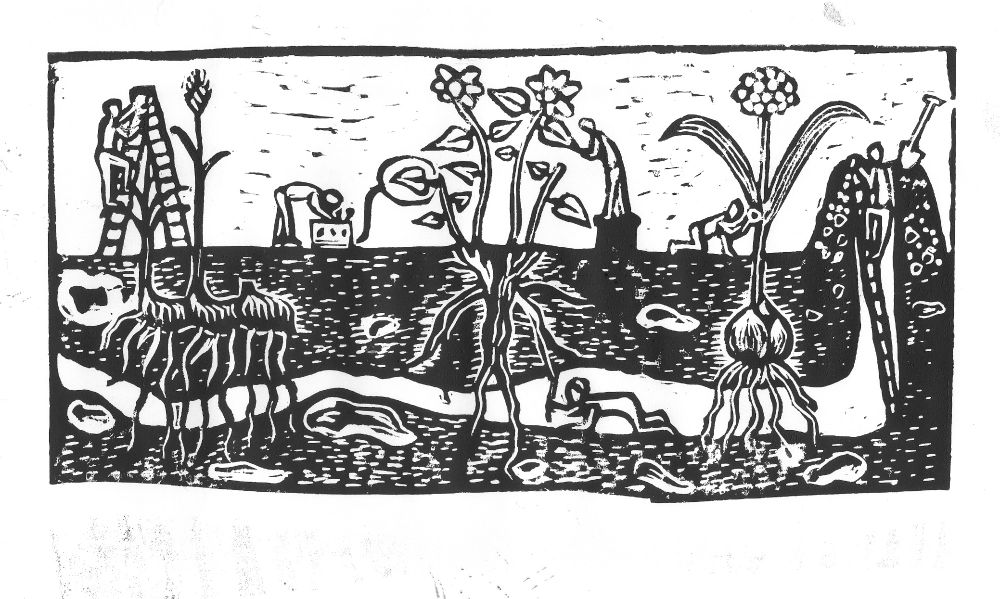 Graphical art (lino-cut) showing functional ecologists busy with measuring leaf and fine root traits while ignoring storage and clonal growth organ