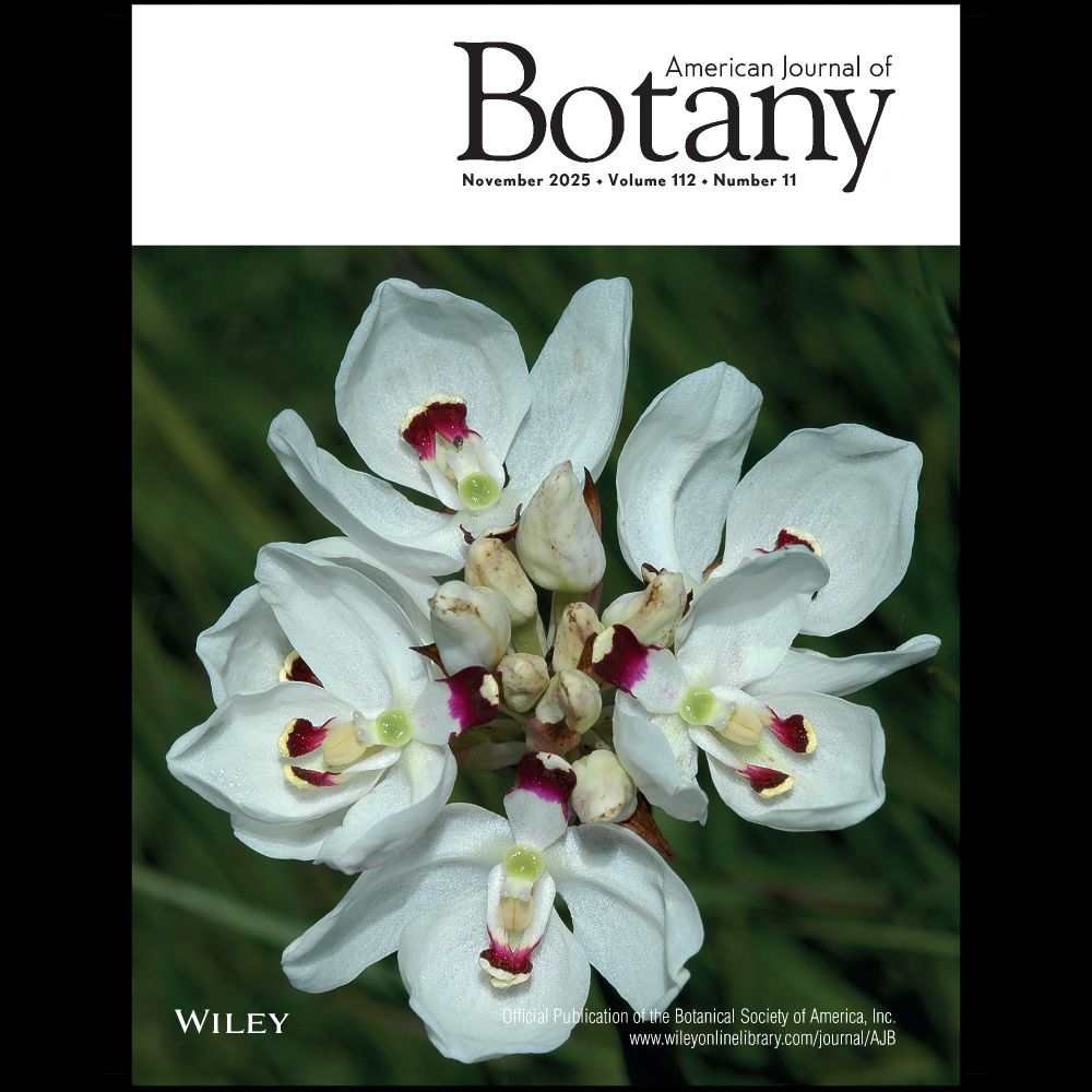 The very rare South African orchid Disa elegans fl owers only after fi re and is pollinated by large chafer beetles that feed on dilute nectar secreted on the surface of the purple tips of the lip and the lateral petals. Image credit: Steven Johnson.