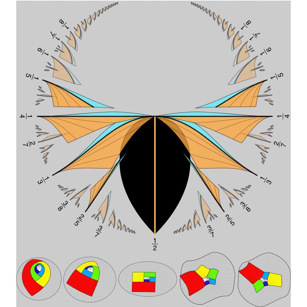 A circular diagram resembling a moth atop five colorful geometrical figures.