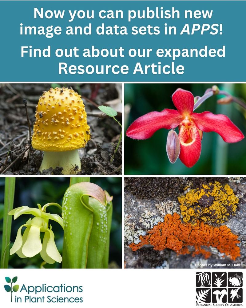 The graphic reads: “Now you can publish new image and data sets in APPS! Find out about our expanded Resource Article.”  Photos (clockwise from top left: a yellow mushroom, a red orchid, orange and yellow lichens on tree bark, pitcher plant. Photo credit: William M. Dahl. Bottom left: the Applications in Plant Sciences logo. Bottom right: the Botanical Society of America logo.