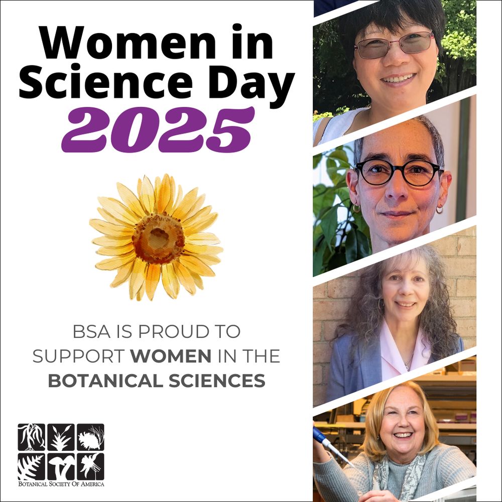 This image shows 4 of BSA's recent Presidents and the text: Women in Science Day 2025. BSA is Proud to support women in the botanical sciences. The BSA logo is also present.