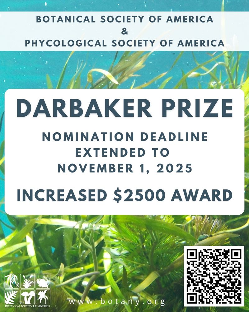 Flyer with underwater background of green algae promoting the 2025 Darbaker Prize. At the top: “Botanical Society of America & Phycological Society of America.” Large bold text announces: “Darbaker Prize. Nomination deadline extended to November 1, 2025. Increased $2500 award.” Bottom of flyer shows BSA logos, website (www.botany.org), and a QR code for more information.