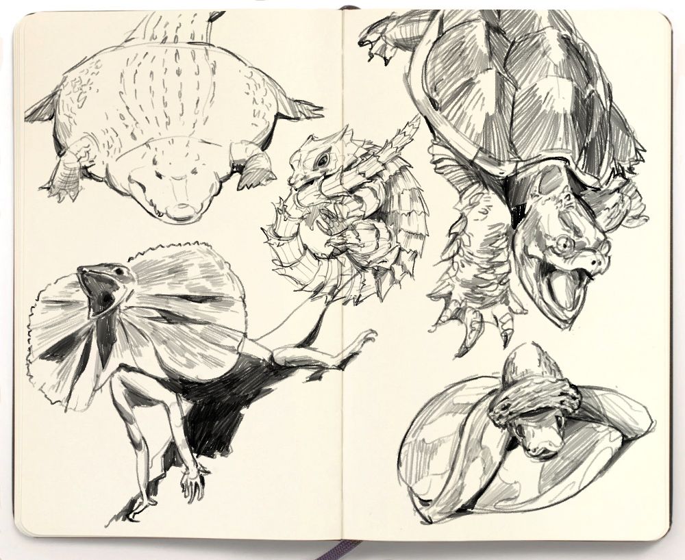 snakes, lizards, crocs, and turtle pencil sketches on a fake sketchbook. honestly, i think my tweets arent very interesting for people with impaired vision, but im doing my best. but you know what else has impaired vision and needs people to help them? web crawlers that gather text-image pairs and put them into datasets to train image generators. ALT text is one common way of getting these text-image pairs because usually, people accurately describe the image in ALT text in the interest of helping their fellow man, which ALSO makes it useful for training image generators. i could nightshade the image to help prevent that, but since i havent done that, the next best thing i can do is put as noise into the alt text as possible to confuse the robots.