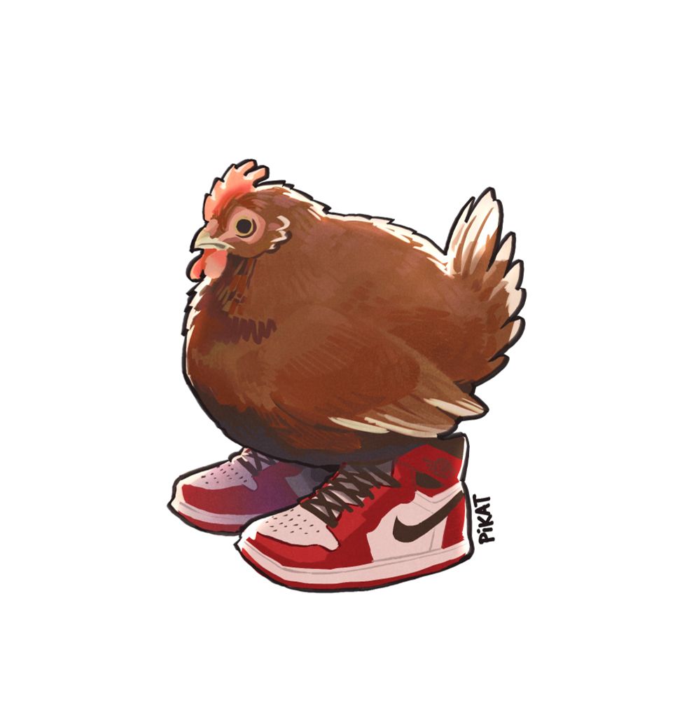 chicken wearing a pair of jordans. her name is Hype Moments And Aura