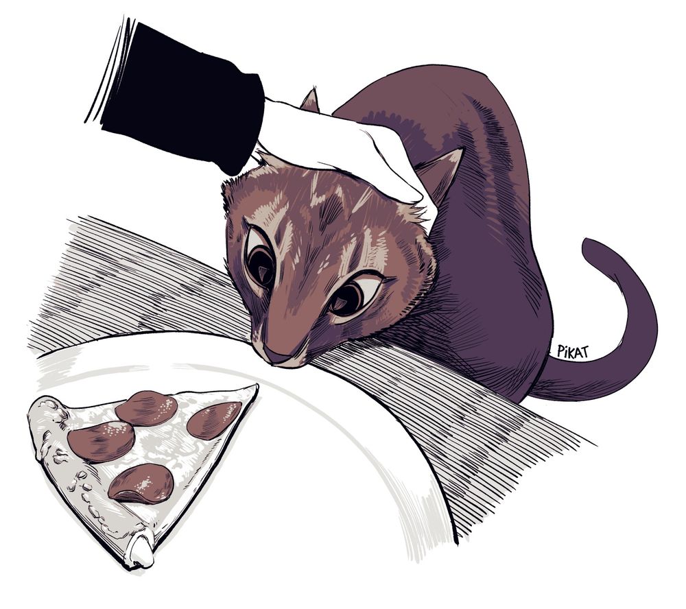 bubu wants pizza