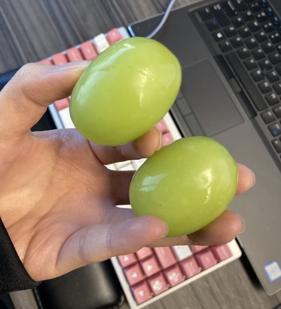 two absolute hungabahoongaloongababoongabongs specimens of green grape. maybe its an illusion because i have very small hands. or not? im not going to tell you.