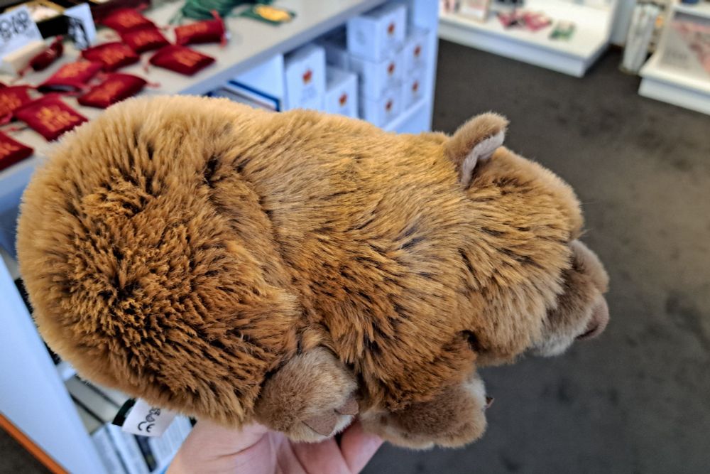 Wombat stuffed toy in the perfect shape, like an eggplant in fur