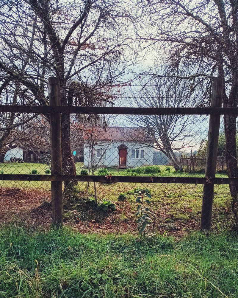 Una casa en el sur de Chile, detrás  de una reja de madera con pasto amarillo y verde y arboles alrededor 