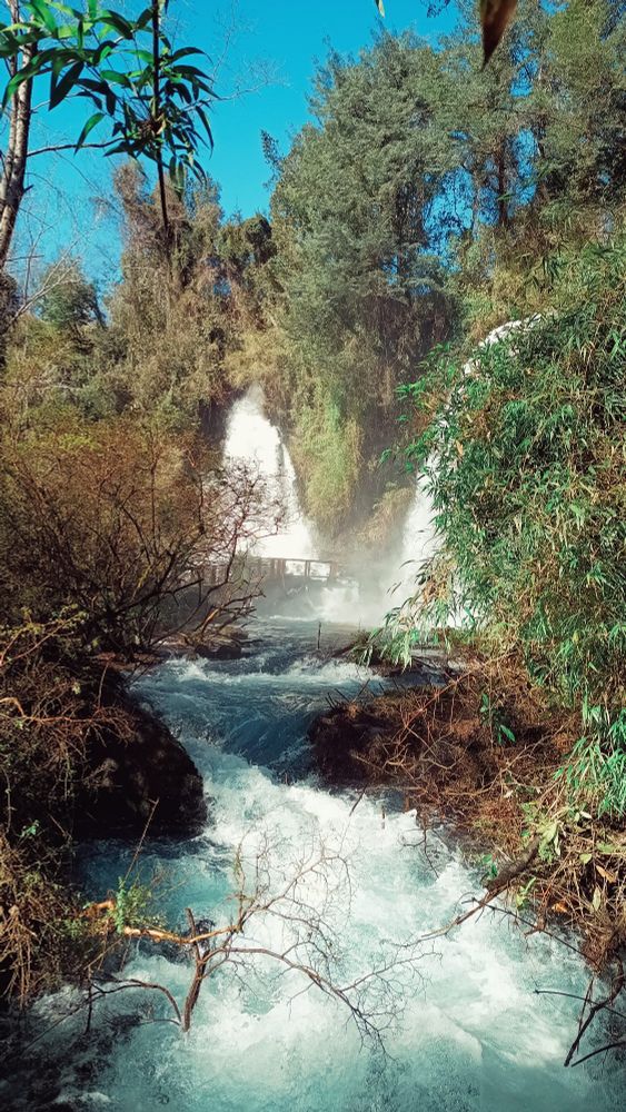 Salto Llallalca en la reserva Huilo Huilo . Una cascada en medio del bosque valdiviano