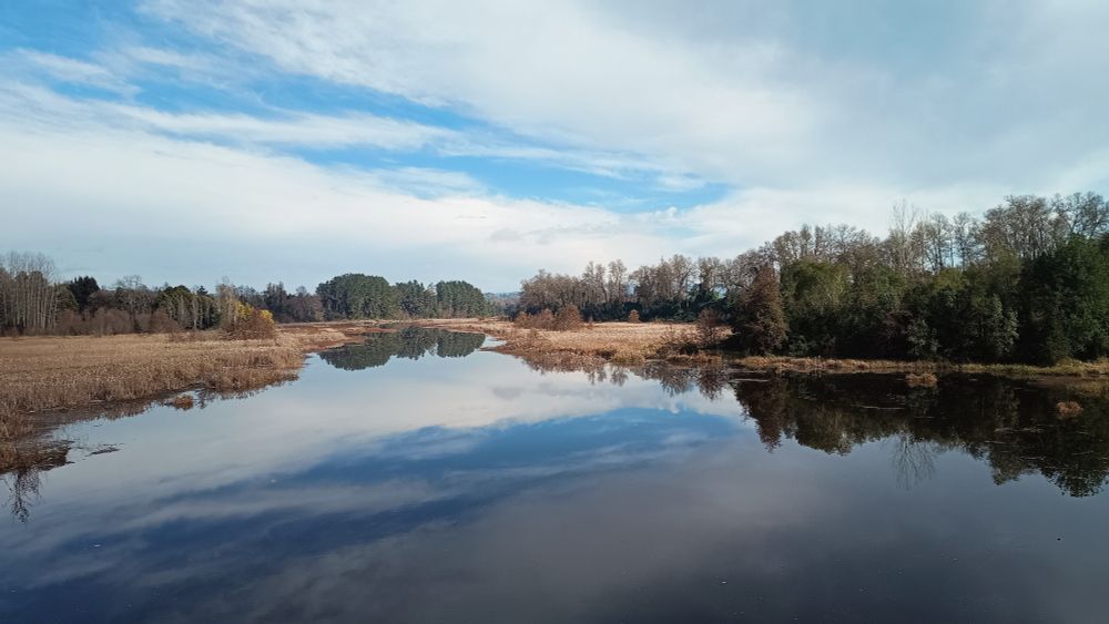 Río Cayumapu, Valdivia 