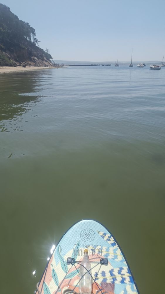 View across Poole Harbour