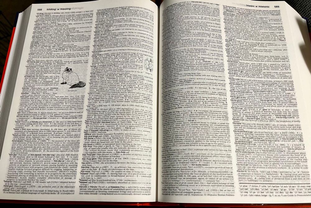Picture of a Merriam-Webster's Collegiate Dictionary Eleventh Edition opened to show the two spread pages. The left page features a line drawing of a Himalayan breed cat.