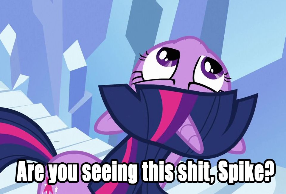 Twilight sparkle looking up and saying "Are you seeing this shit, spike?"