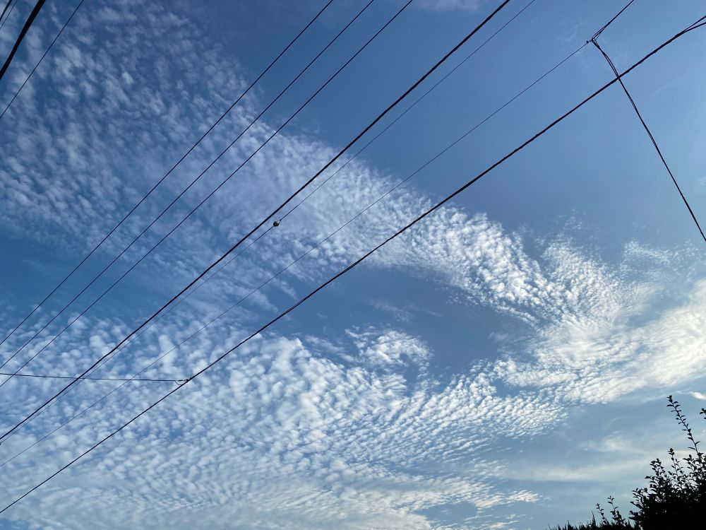 うろこ雲の浮かぶ空