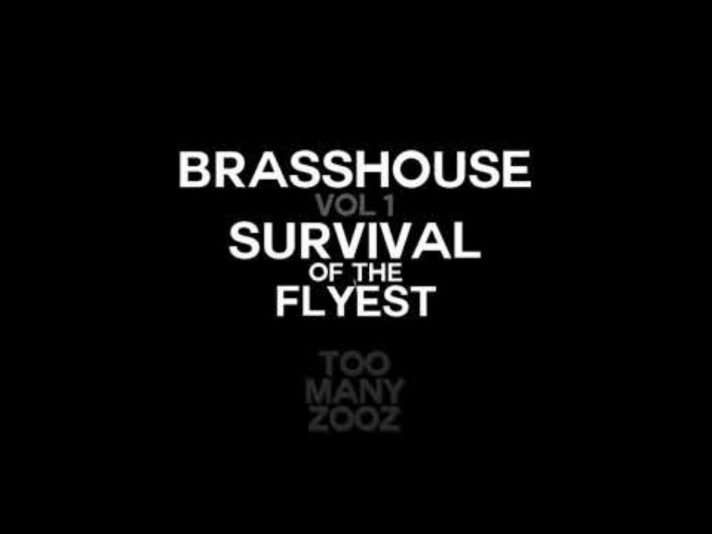 Too Many Zooz - Flightning (Audio) | Brasshouse Volume 1