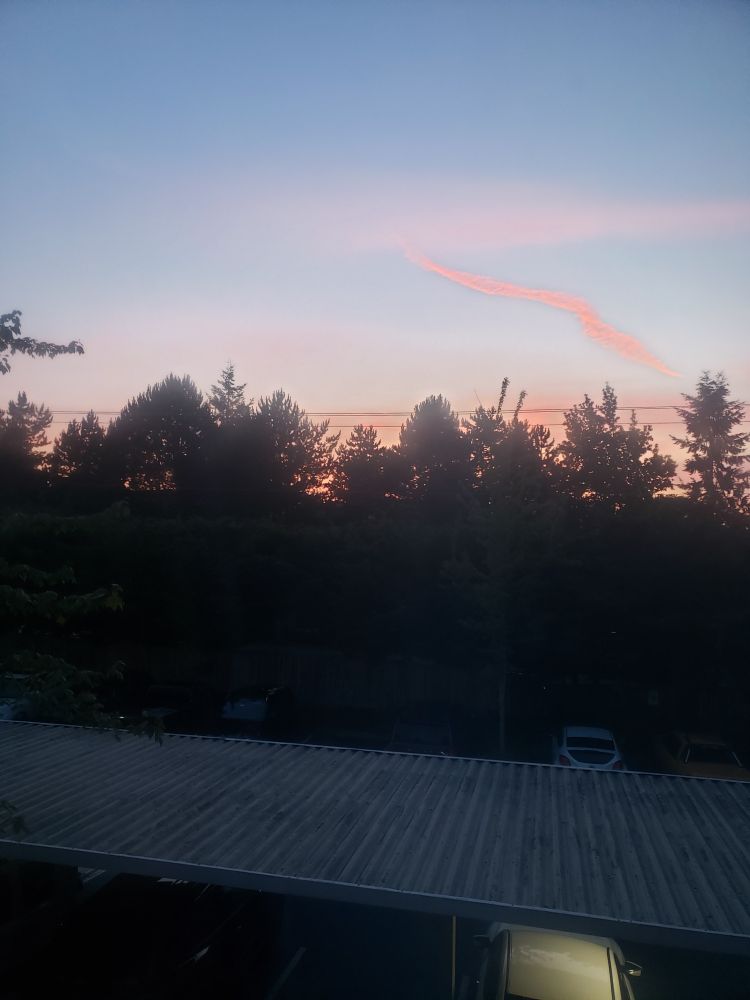 A photo showing a sunset over some trees. It's 9pm (or so), and the few clouds in the sky are bright pink.