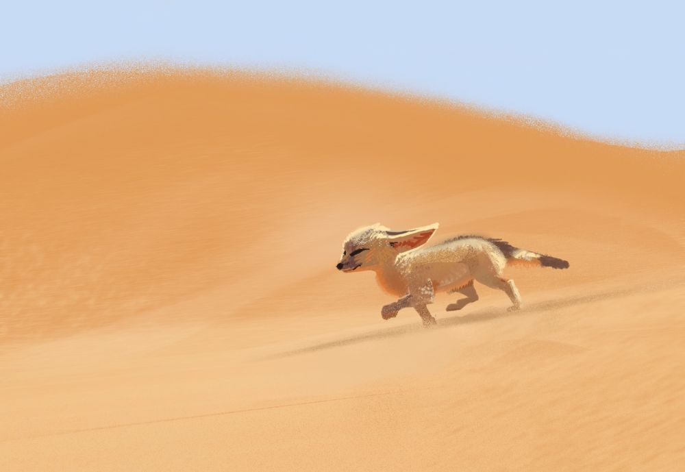 Drawing depicting a fennec fox in the sand dunes walking against the strong wind