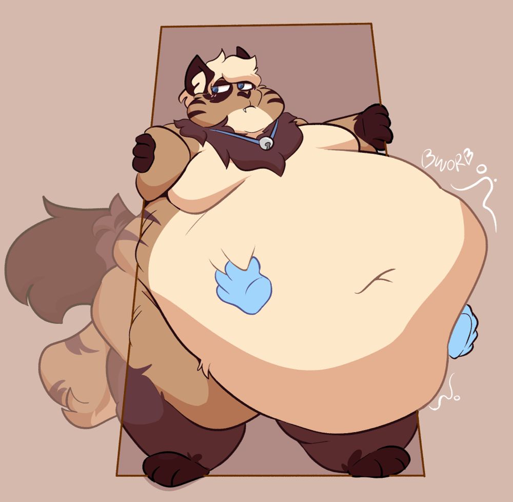 A very well fed Cat Milo getting stuck in a doorway as some generous ghost hands give his belly a nice rubbing to help 💕
