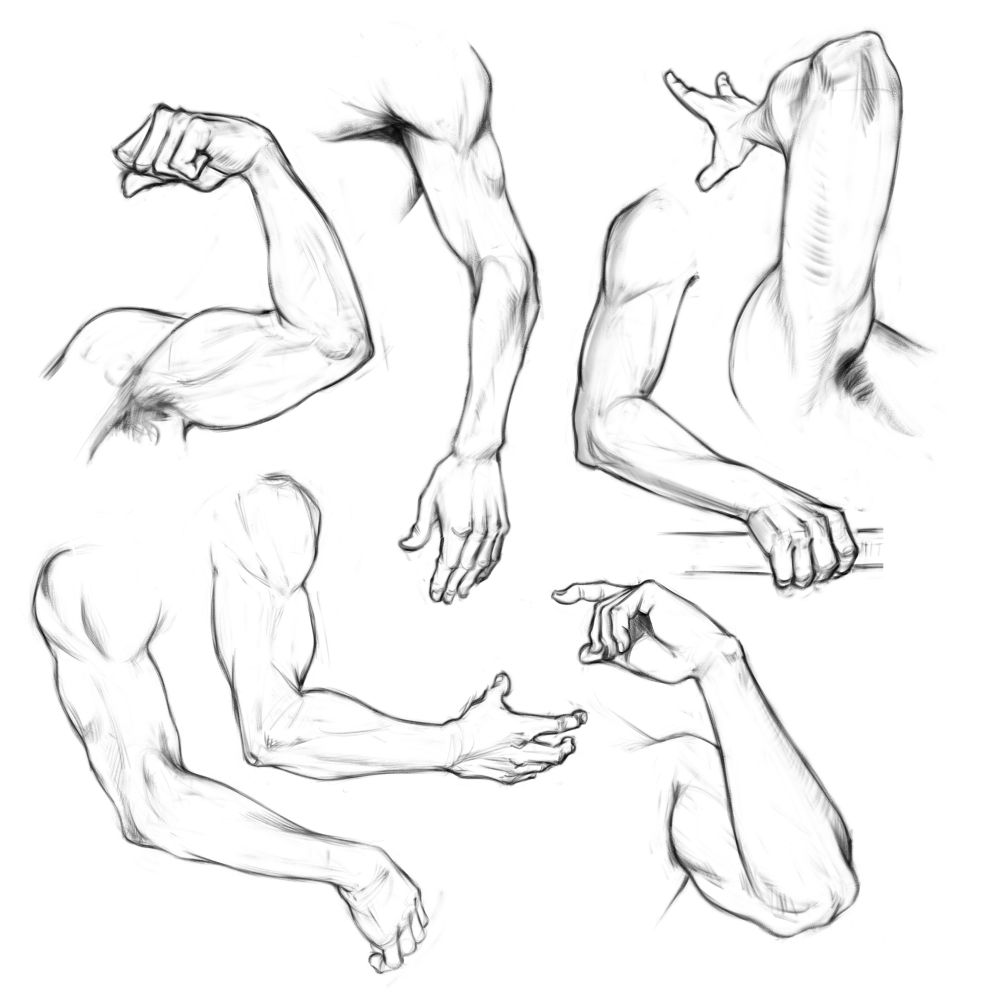 Multiple sketches of the human arm