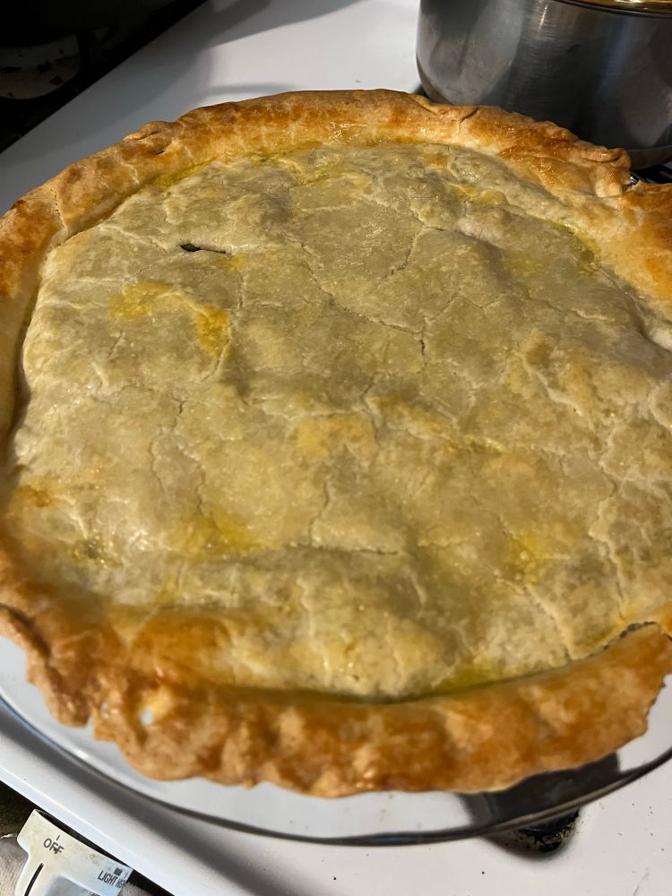 Steak and Potato Pie fresh out of oven.
