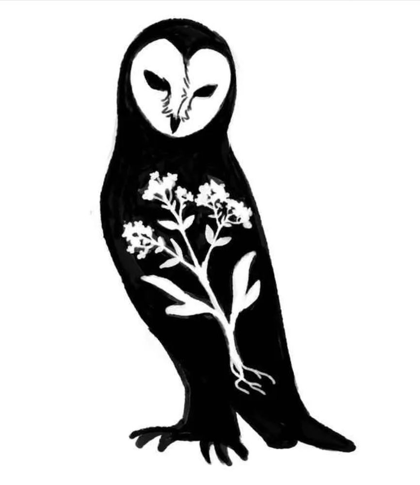 A simple drawing on white background of a black barn owl with a white heart-shaped face. Inside of its solid black body is the silhouette of a white flower. The owl's expression is solemn.