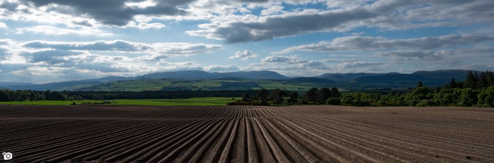 Black Isle, Scotland 
