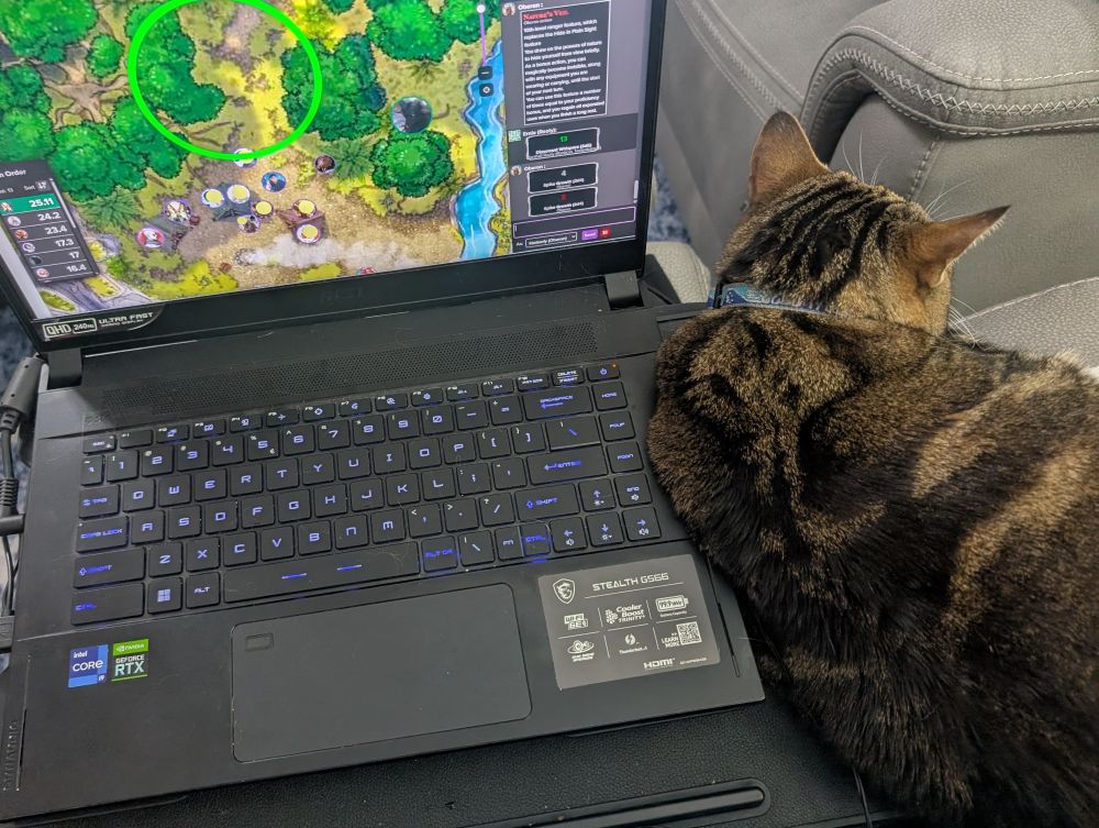 Image taken from above of an open laptop on a lap desk with a Dungeons & Dragons map on the screen, a forested campsite with the 20 ft sphere of the effects of the Spike Growth spell circled in bright green. A brown tabby cat rests to the right of the laptop keyboard on a gray armrest, turquoise collar barely visible, facing away from the camera. 