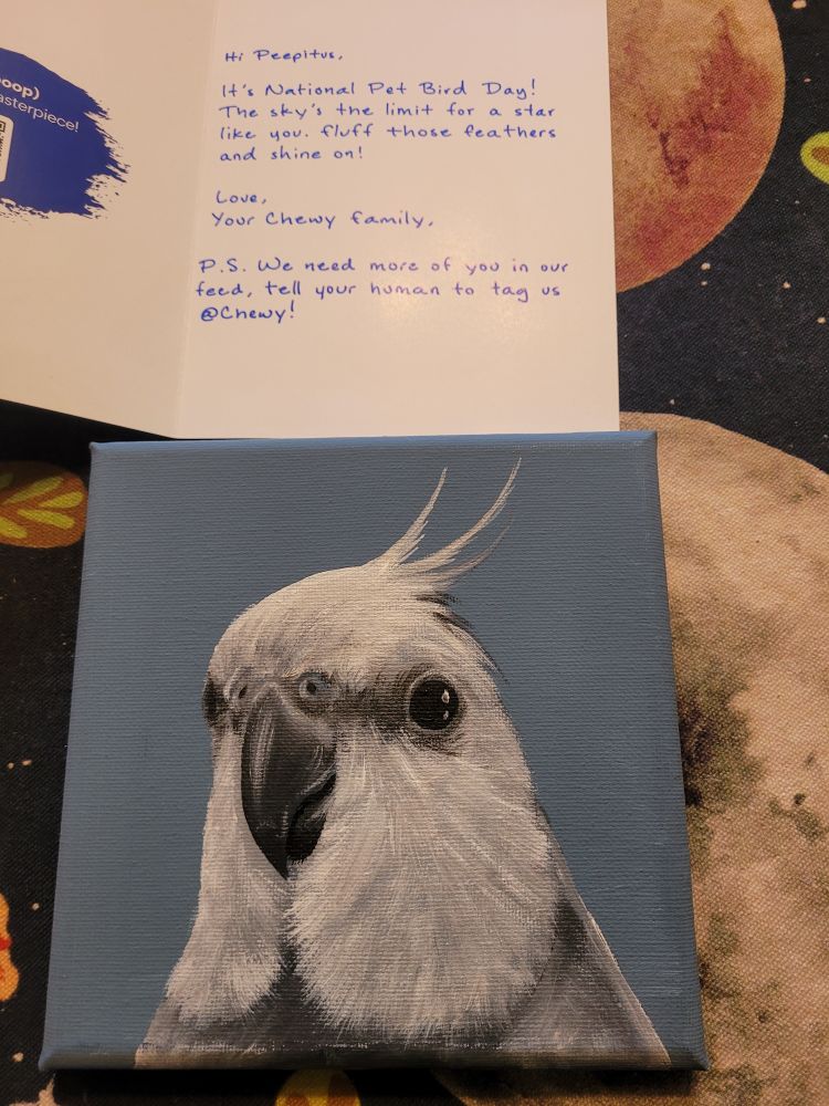 A painting of a white-faced gray cockatiel with a card that reads:

Peepitus,

It's National Pet Bird Day! The sky's the limit for a star like you. Fluff those feathers and shine on! Love, Your Chewy family. P.s. We need more of you in our feed, tell your human to tag us @chewy!