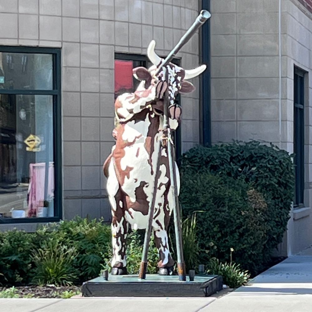 On a city street corner stands a sculpture of a spotted brown cow standing on two legs, looking through a telescope.