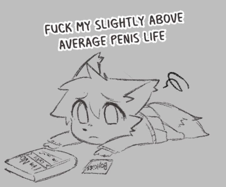 fox furry laying on stomach captioned 'fuck my slightly above average penis life' with a note reading 'boykisser' and a book labeled 'I'm not gay. I'm just overwhelmed, a memoir.'