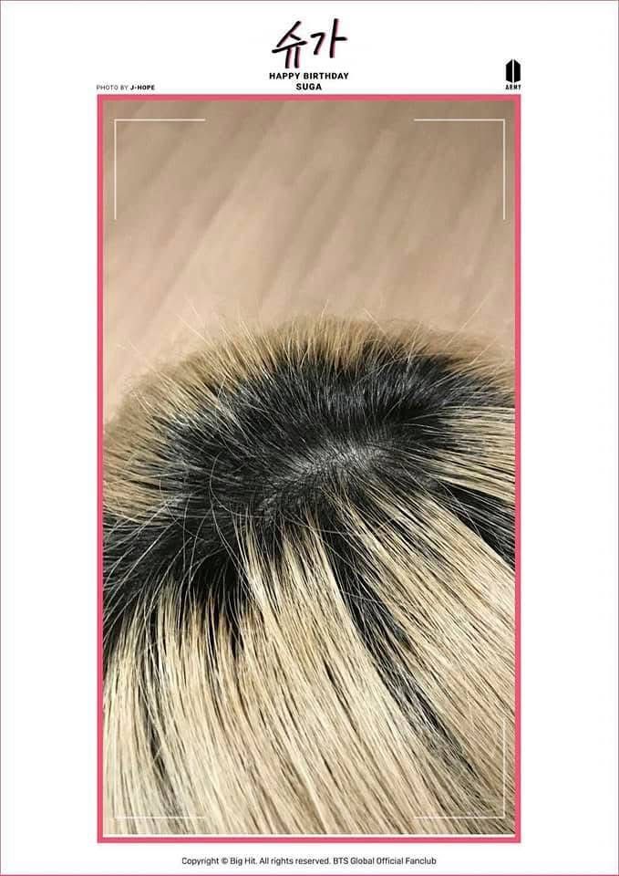 Photo of Yoongi’s head from above as taken by Hoseok. Shared on BTS fan cafe March 9, 2019 for Yoongi’s birthday 