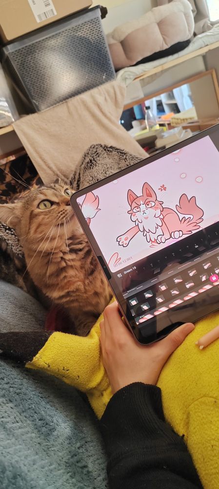 photo d'une cession de travail sur une petite animation 2D (un petit chat rose en colère est visible sur l'écran de la tablette tandis qu'un vrai chat s'apprête à grignoter le coin de cette dernière) 