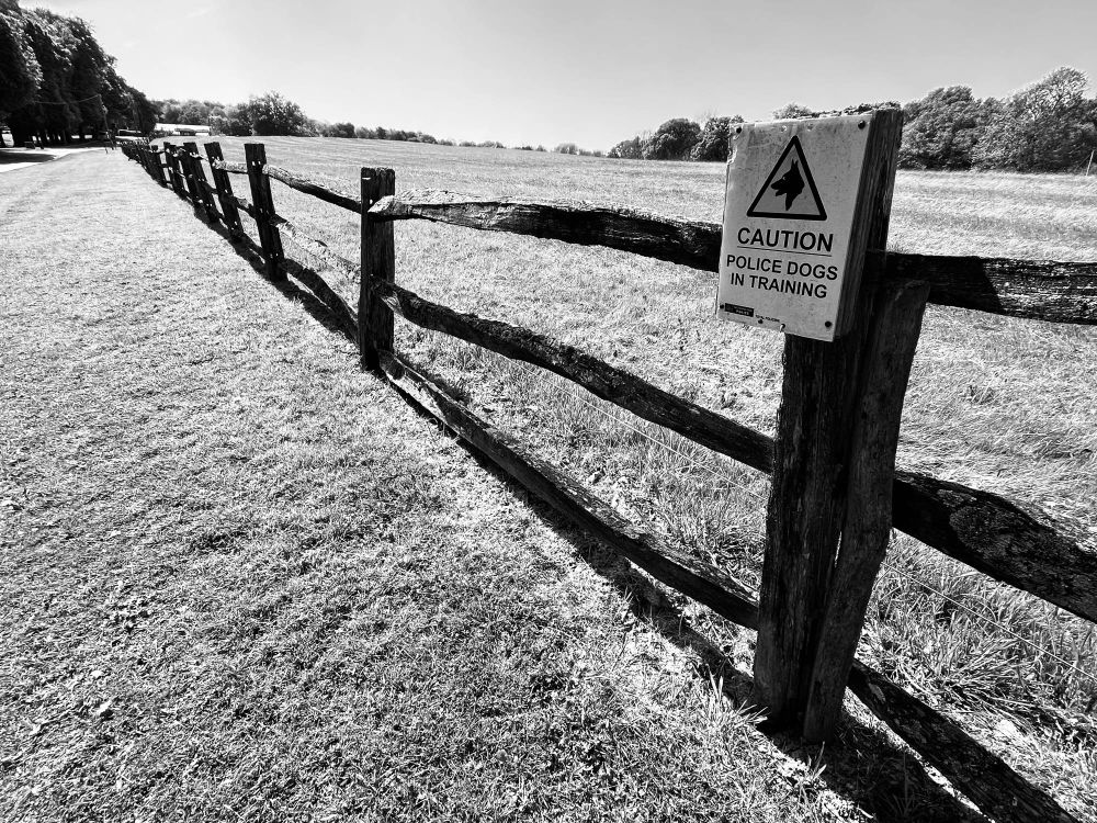 Wooden fence 
